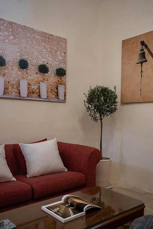Living room, plant, photos, book, sofa